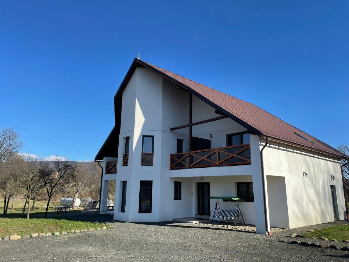 Pensiunea Rnb Maramures Surdesti  Eksteriør billede