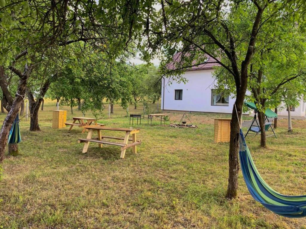Pensiunea Rnb Maramures Surdesti  Eksteriør billede