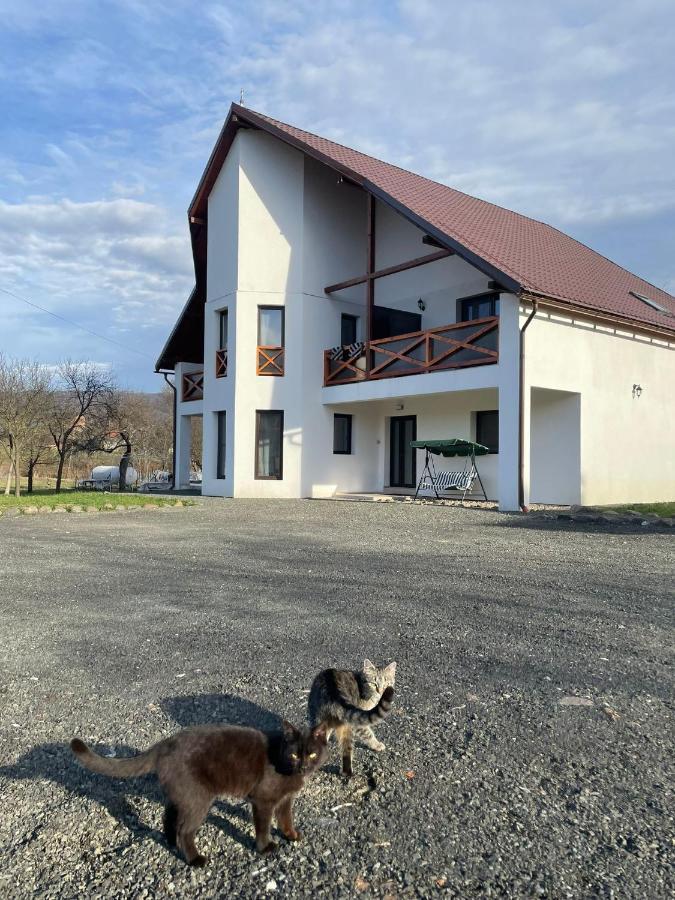 Pensiunea Rnb Maramures Surdesti  Eksteriør billede